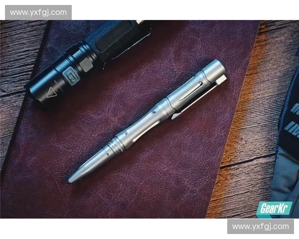 围绕TI未登场英雄探秘赛事战术演化趋势研究全景解析与未来展望